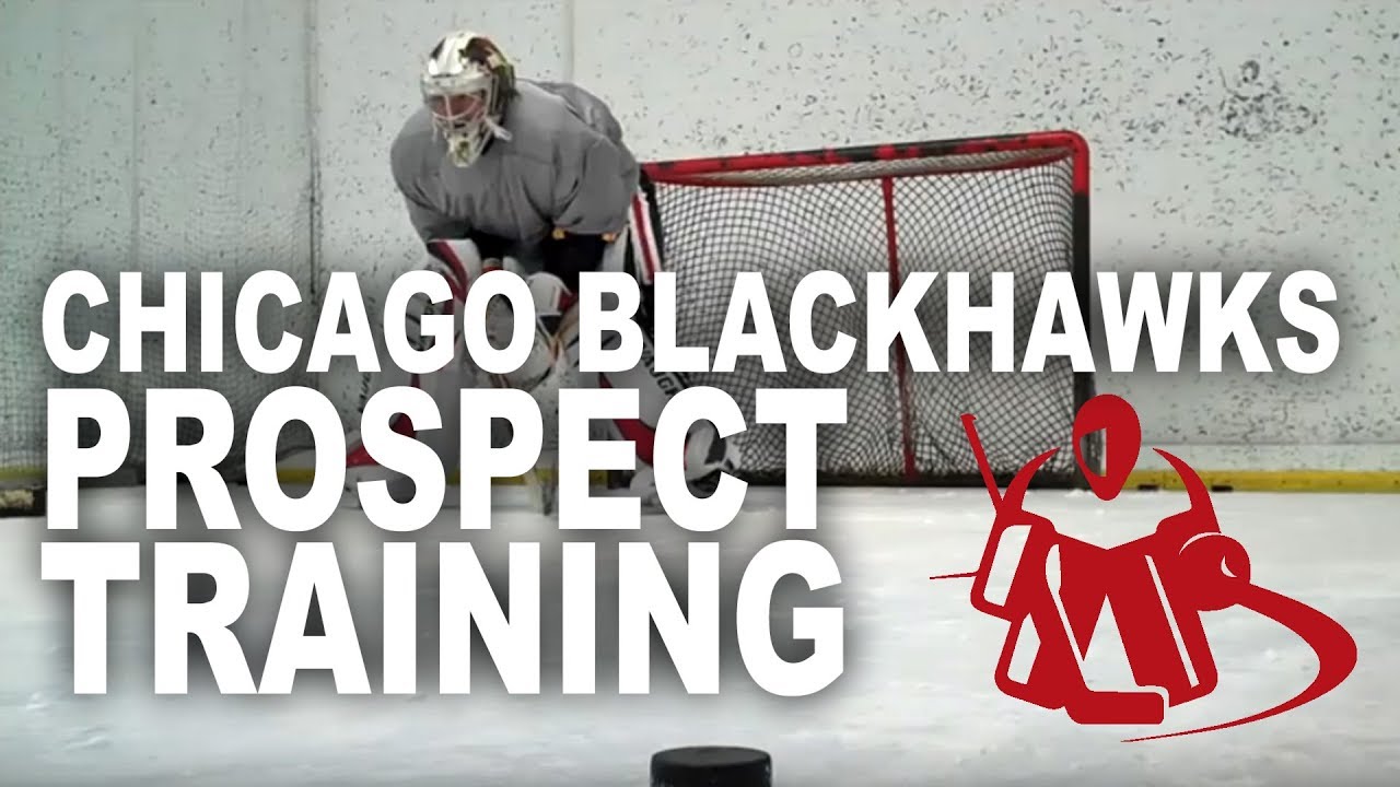 Chicago Blackhawks Prospect at Goalcrease