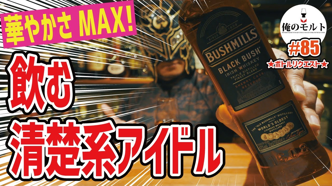 【ウイスキー】まるで清楚系女子の華やかさ！絶対に飲むべき神スペックブレンデッド！ブッシュミルズ ブラックブッシュ