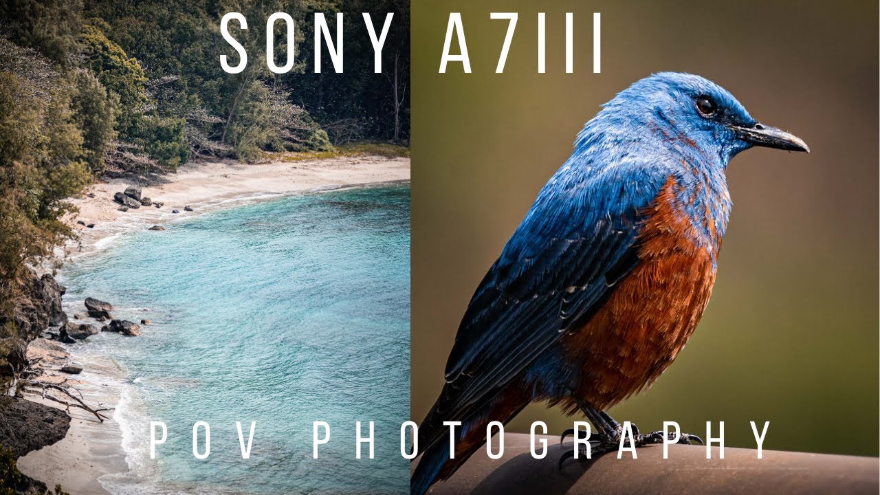 POV Photography with Sony A7III/Sigma 100-400mm - Relaxing Island Nature