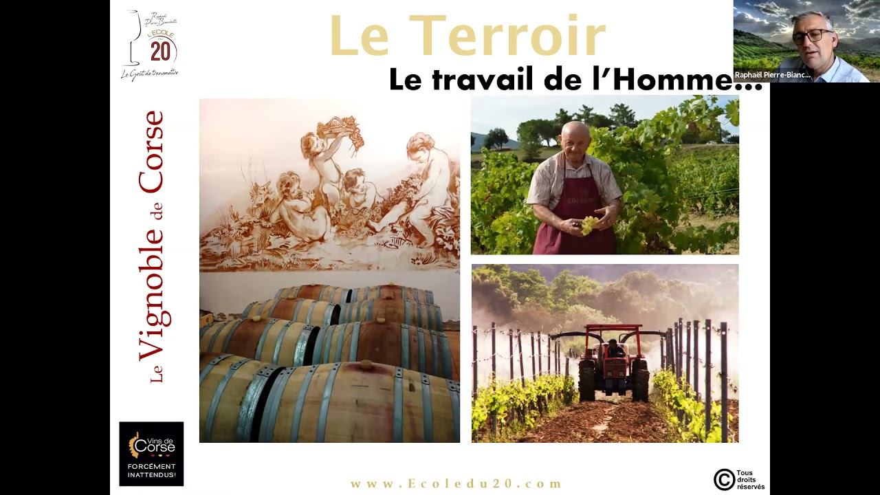 Le Vignoble Corse par Raphaël Pierre Bianchetti