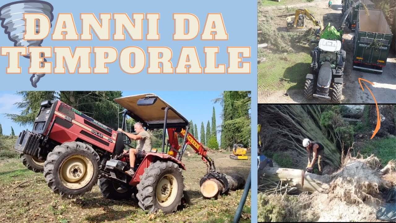 DISASTRO DA TEMPORALE! CIPPATURA E FRESATURA DEI CEPPI / STORM DISASTER! CHIPING AND STUMP MILLING