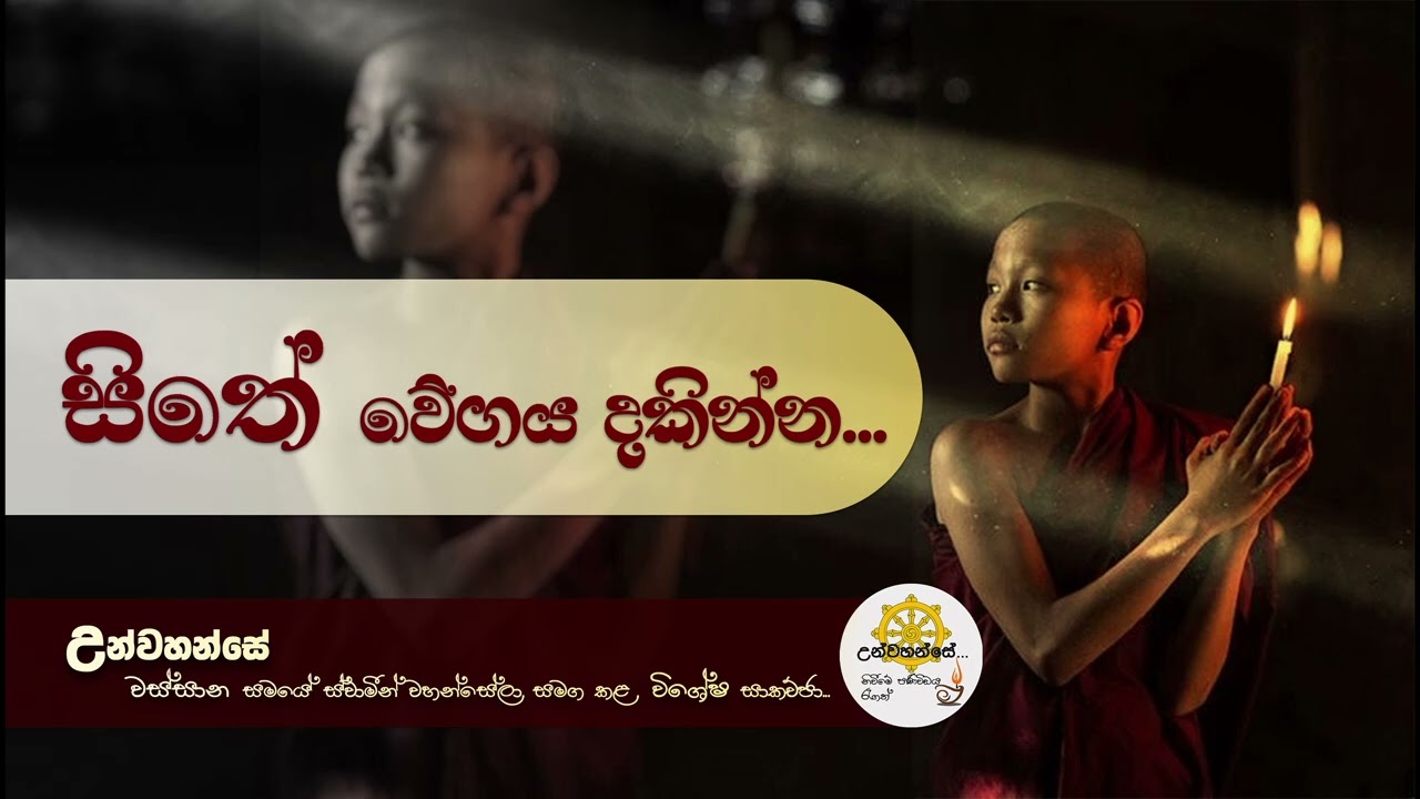 සිතේ වේගය | වස්සාන සමය 2024 විශේෂ ධර්ම සාකච්ඡා 22 | Niwan Dakimu