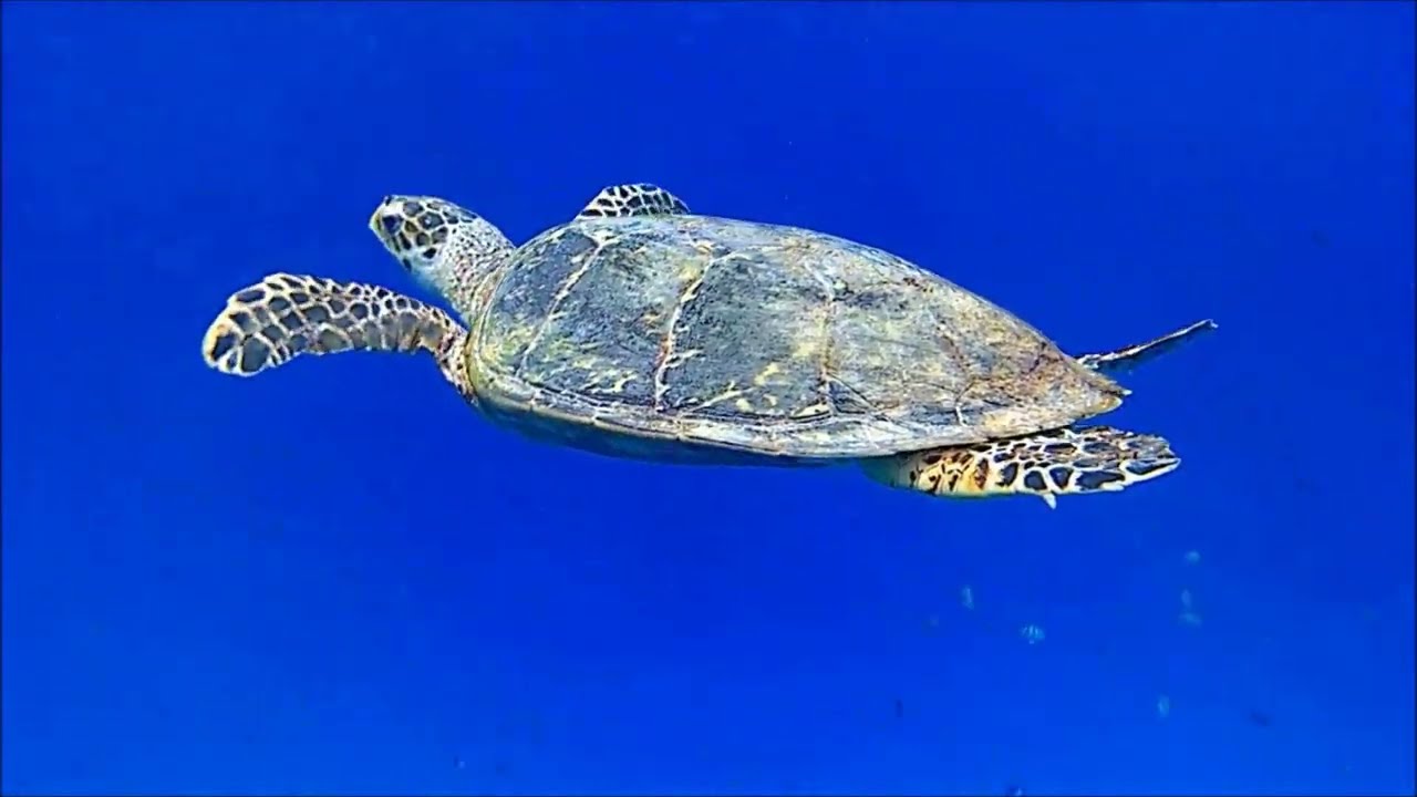 Maldive tesori nascosti