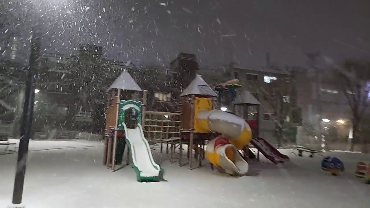 ❄🌧Let's enjoy the Heavy snowflakes in South Korea🇰🇷☃️