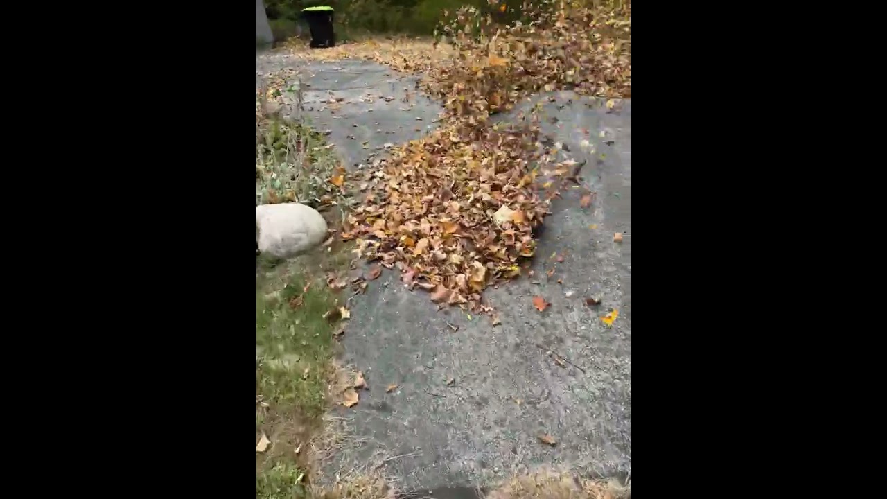 REDMAX EBZ 9000 blowing leaves