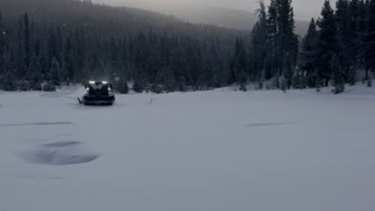 Nickel Plate Groomer