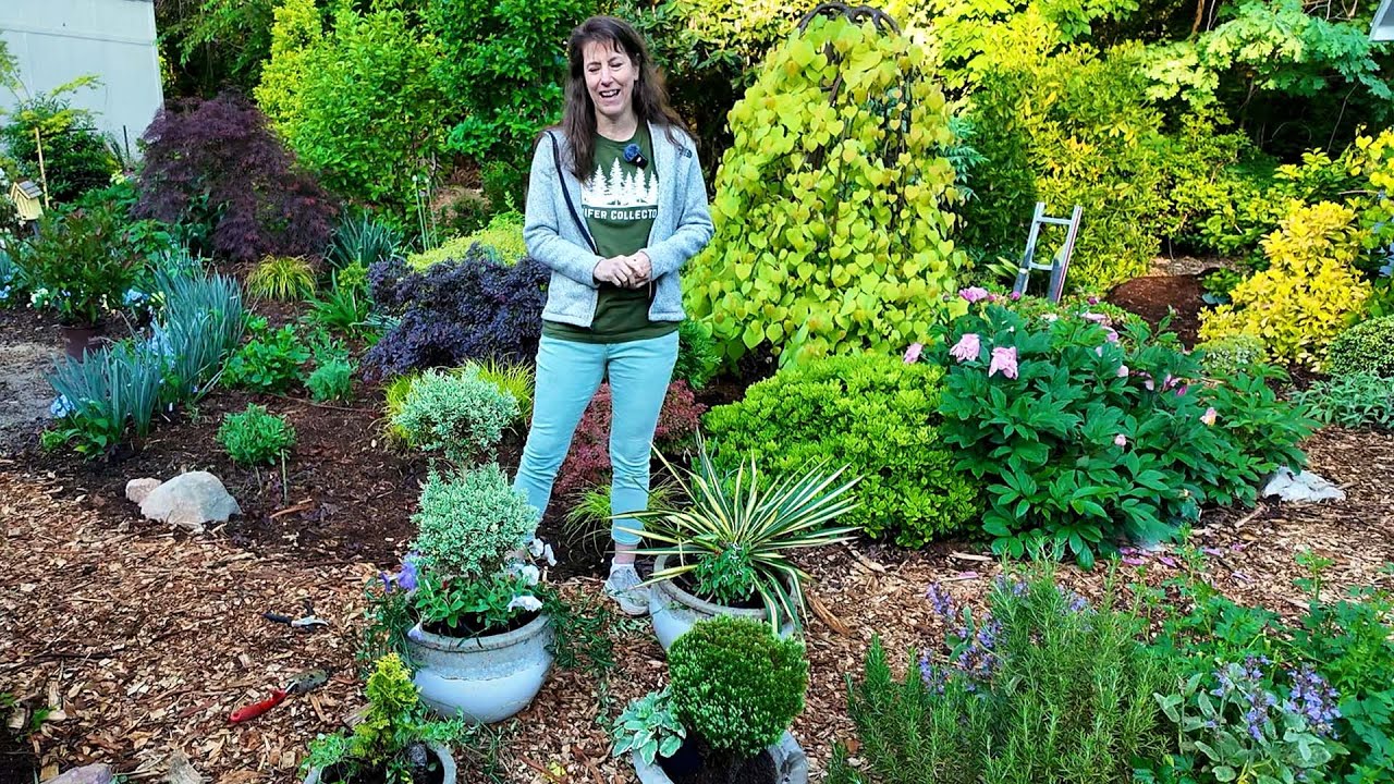 Planting, Pruning, and Potting - Busy in the Garden