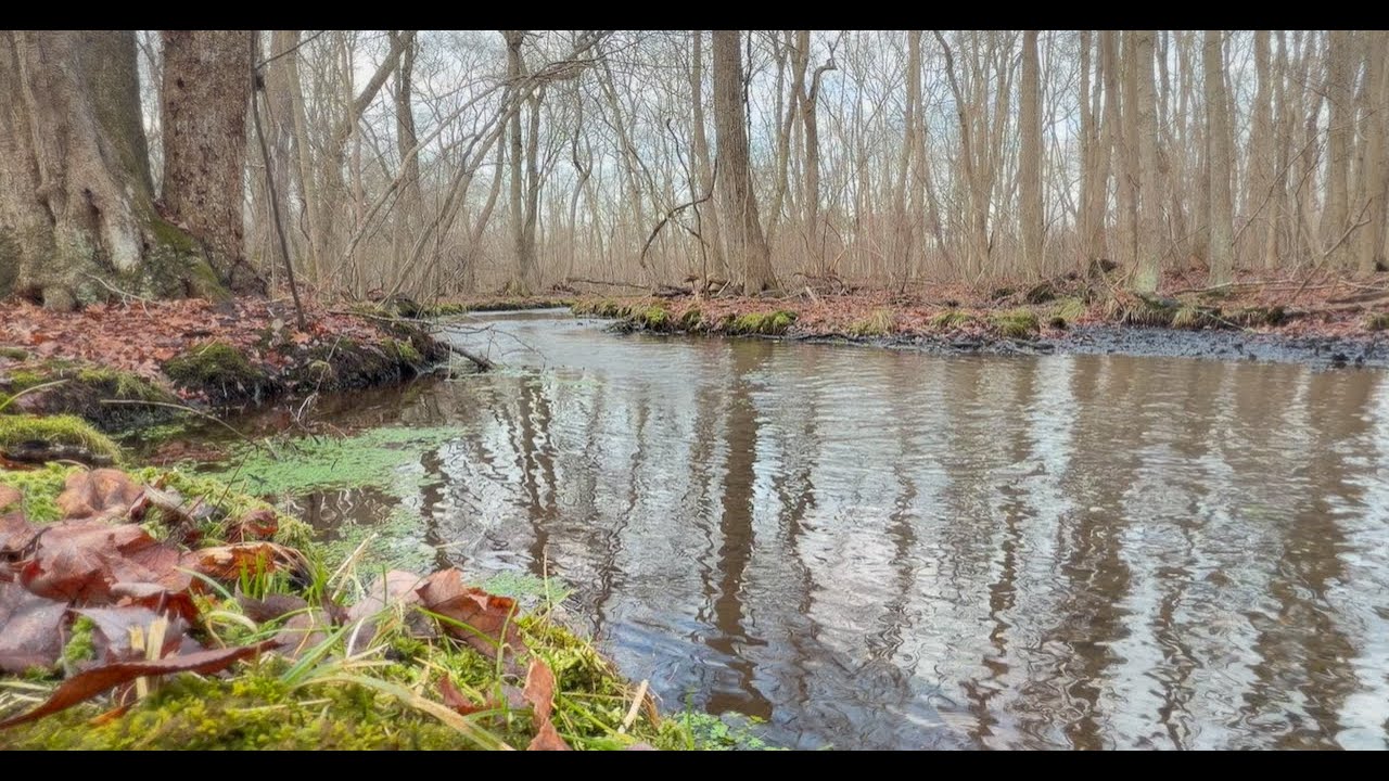 headwaters creek