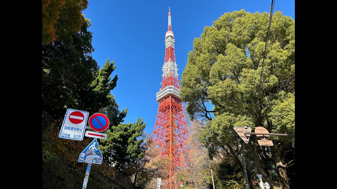 Tokyo D1