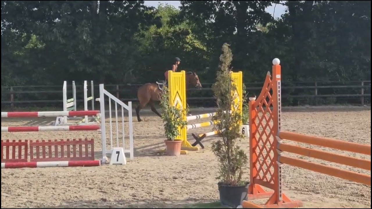 Cornet's fire x Verdi