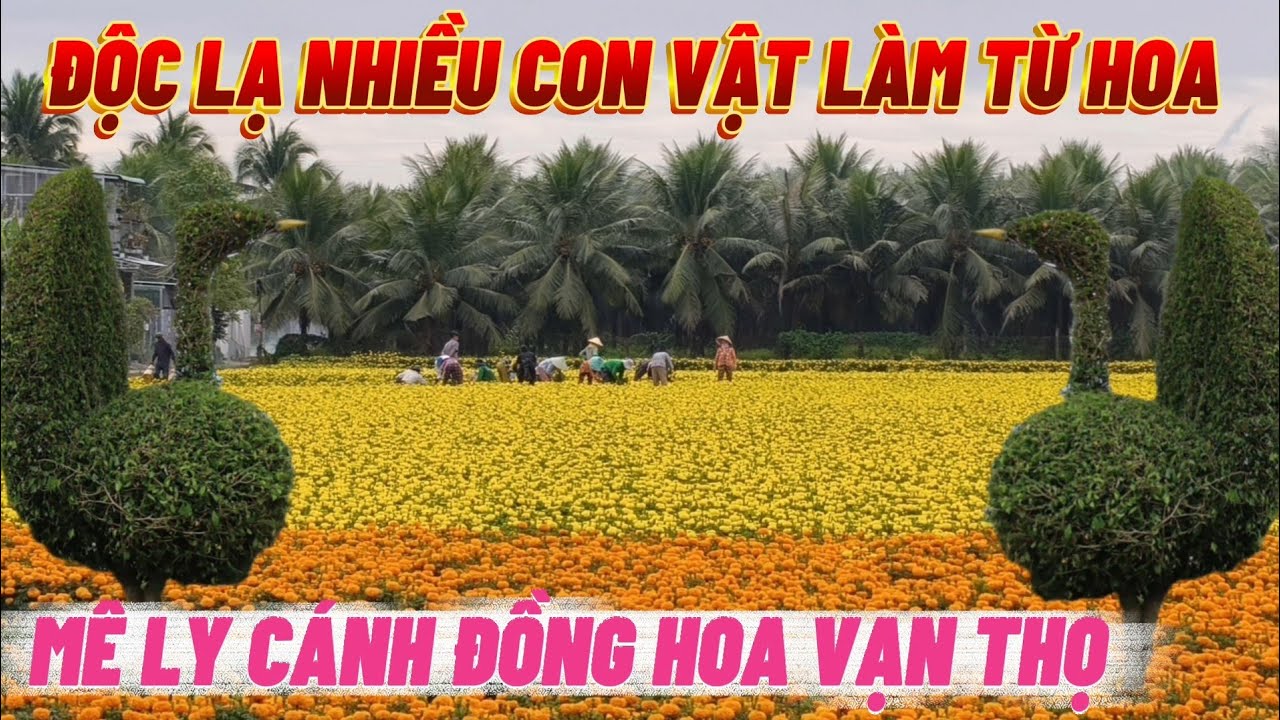 ĐỘC LẠ PHÁT HIỆN NHIỀU CON VẬT LÀM TỪ HOA KIỂNG CHỢ HOA MƯA KIỂU NÀY XÓT CHO TIỂU THƯƠNG 