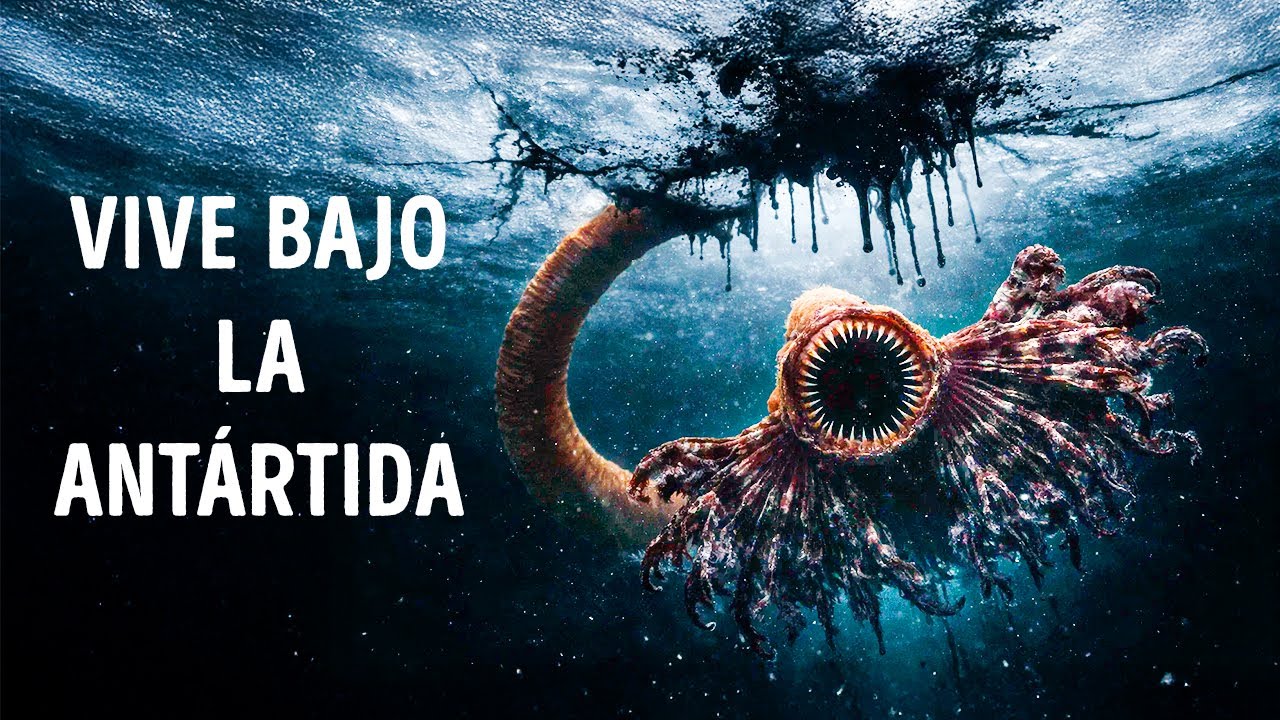 Científicos acaban de encontrar un megasistema oculto bajo el hielo de la Antártida