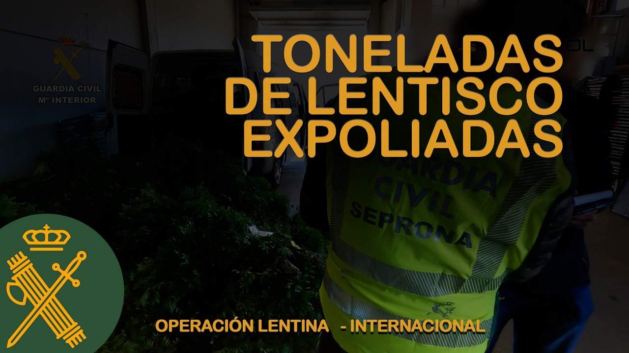 Detenidas 10 personas por expoliar cerca de mil toneladas de lentisco y exportarlo a Europa