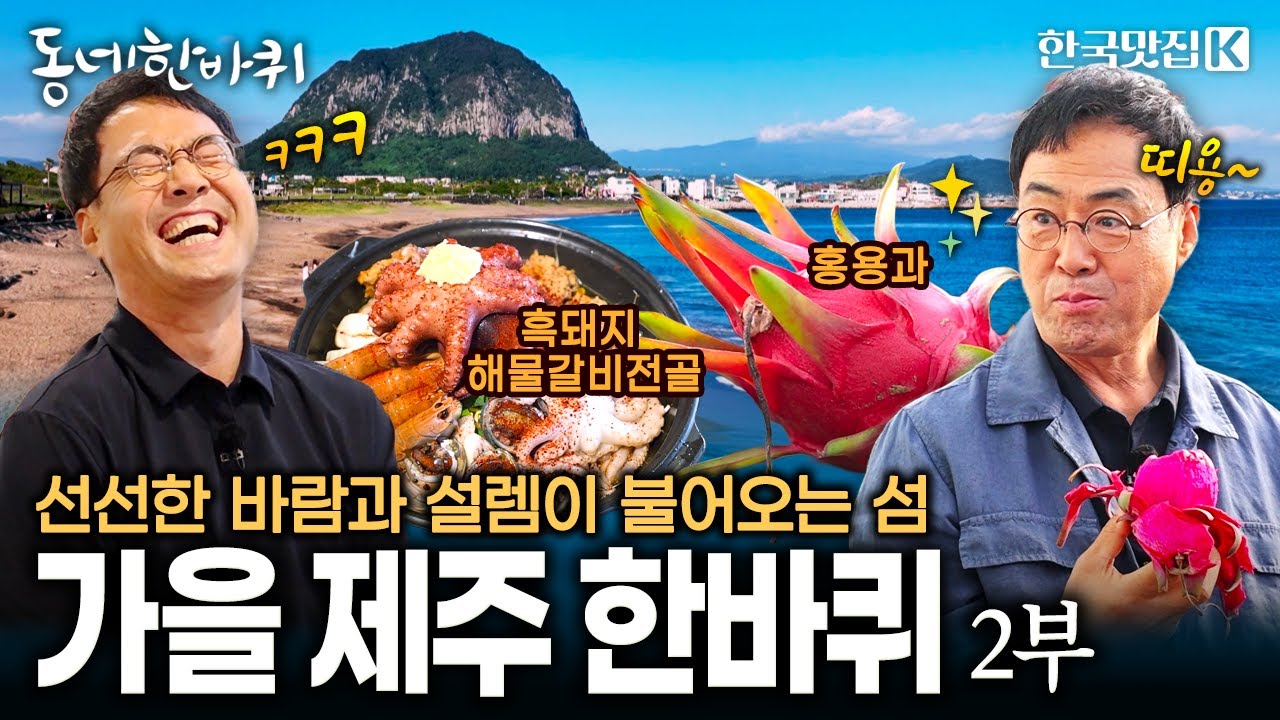 푸른 바다를 두른 가을빛 낭만의 섬 제주에서의 두 번째 이야기 | KBS 251108 방송