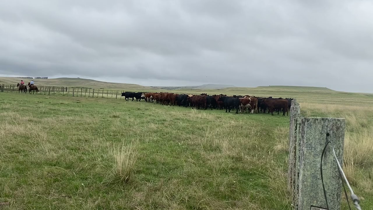 Casi por arrancar a cargar 