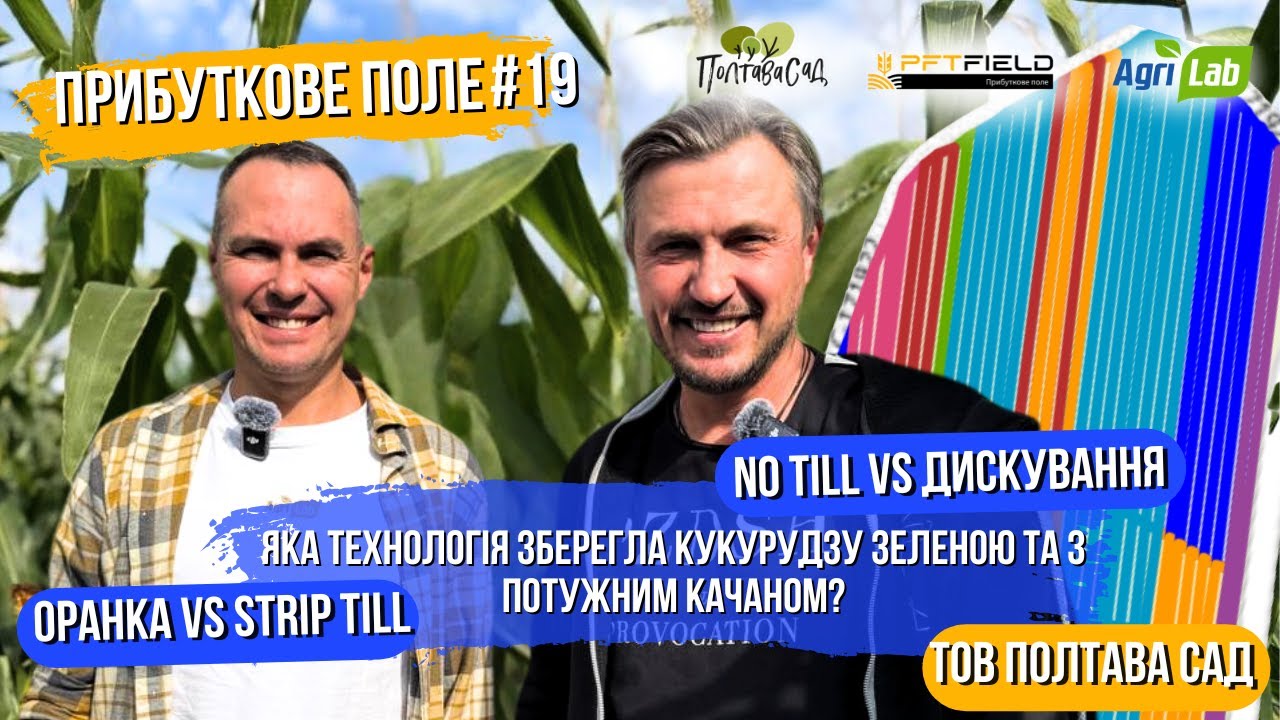 Класика чи Strip-till: яка технологія зберегла вологу й кукурудзу зеленою? Досліди у Полтава-Сад