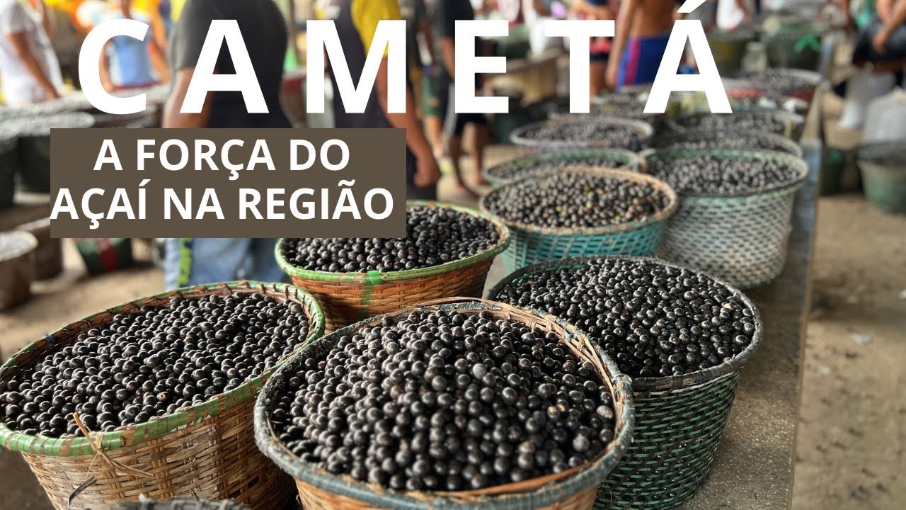 Visitei as feiras de Cametá - açaí, peixe, produtor
