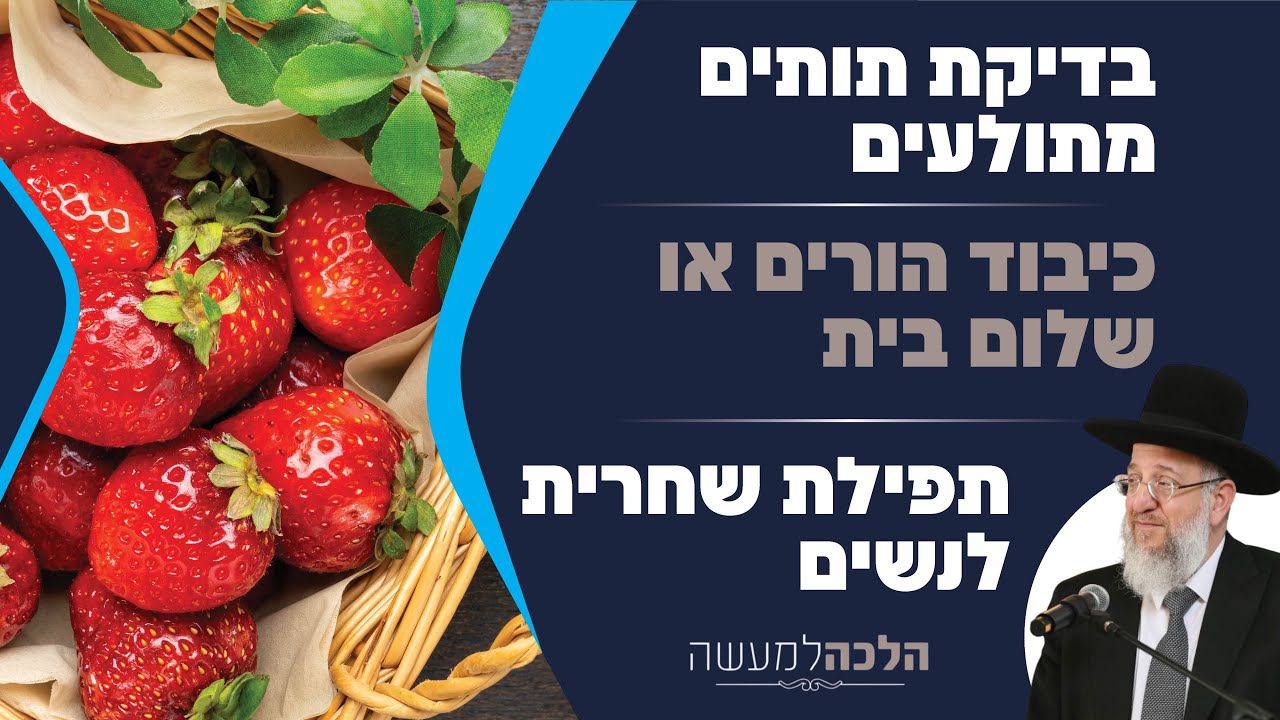 בדיקת תותים מתולעים | כיבוד הורים או שלום בית | תפילת שחרית לנשים - הלכה למעשה עם הרב ירון אשכנזי