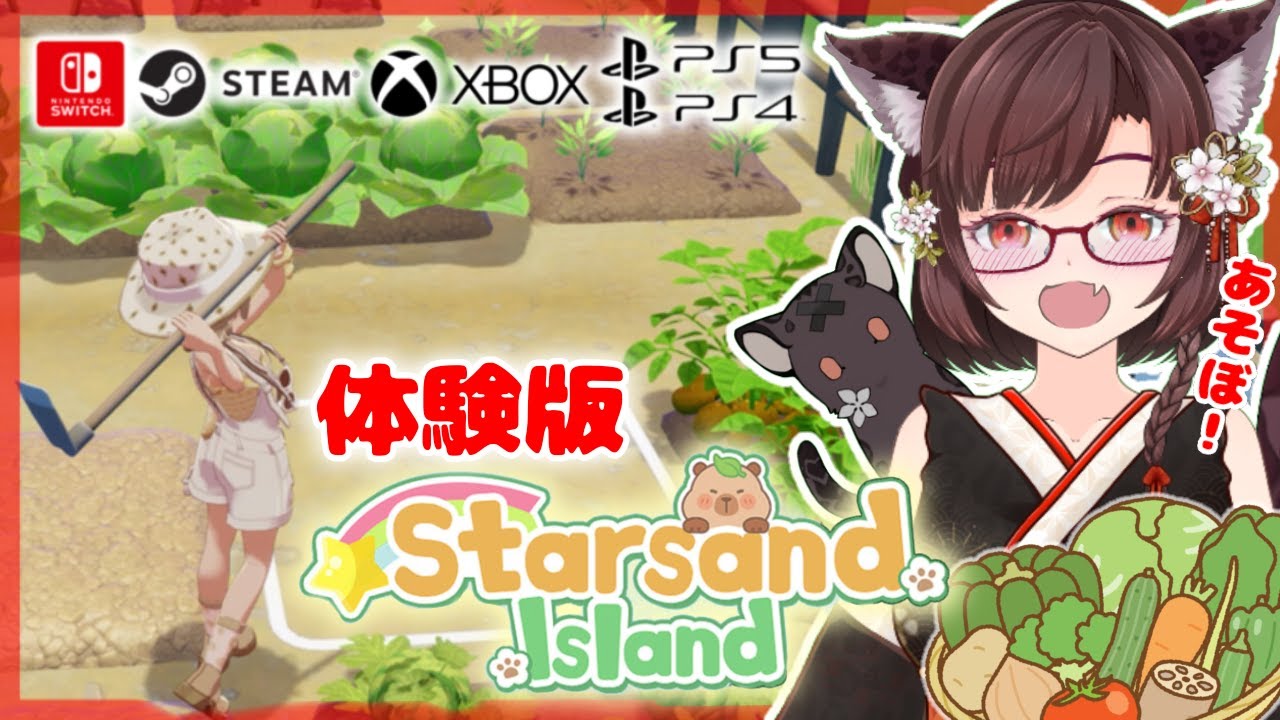 【 #StarsandIsland  】#1 　移住の下見♪　超話題作を早速プレイ！　ネタバレ注意【サムちゃんねる】#vtuber