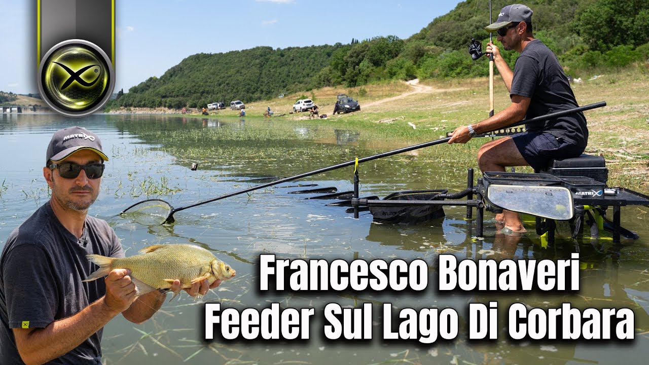 Francesco bonaveri feeder sul lago di corbara