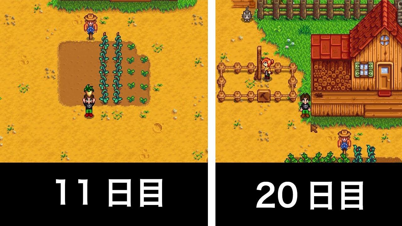 【StardewValley】ミリしらで100日間生活してみた part2【11～20日目】