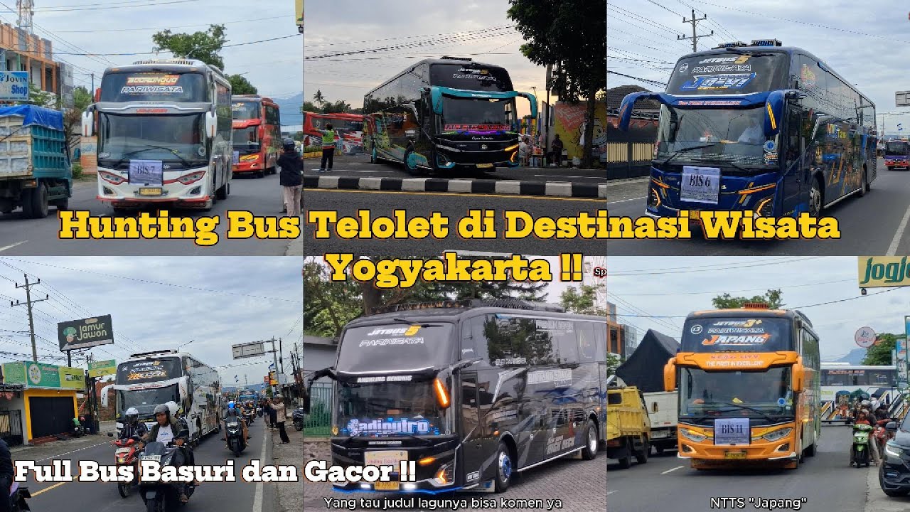 Hunting Rombongan NTTS Trans di Jogja | Bikin Mania Jogja Kumpul Semua, FULL GACOR !!
