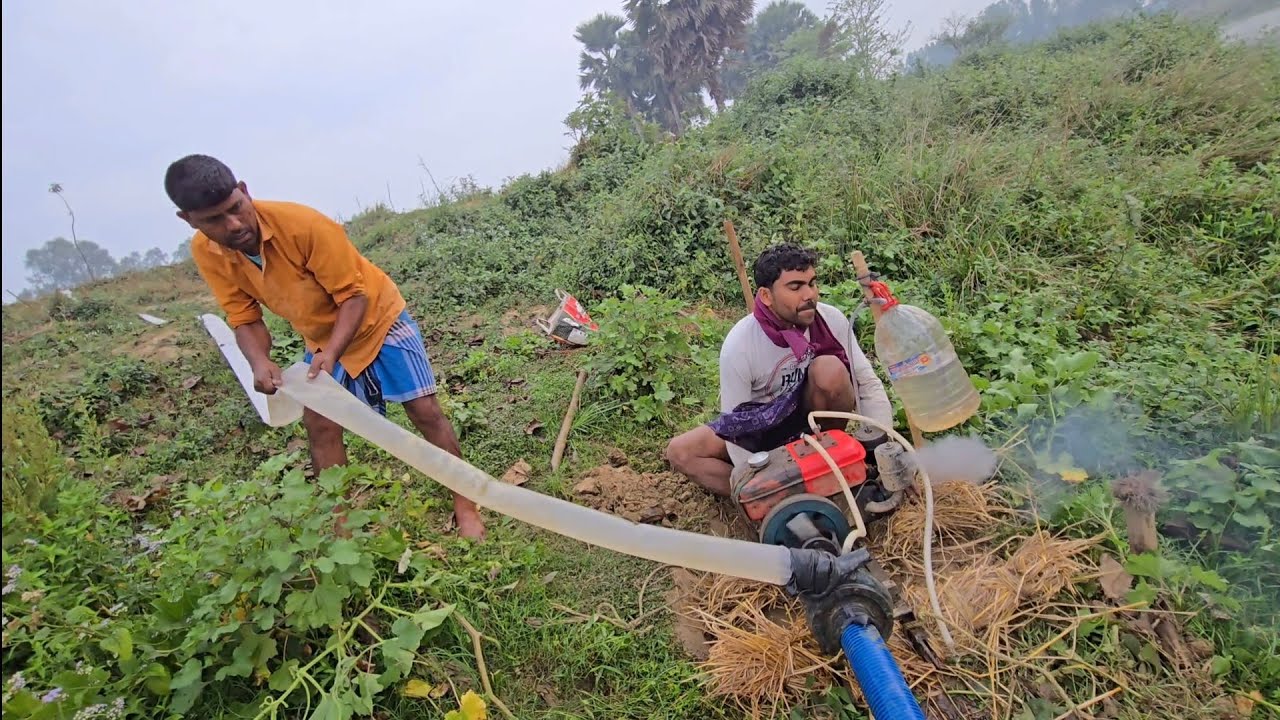 শ্যালো মেশিন দিয়ে কতো কষ্ট করে ধান ক্ষেতে জল দিলাম। Mr Sajedar