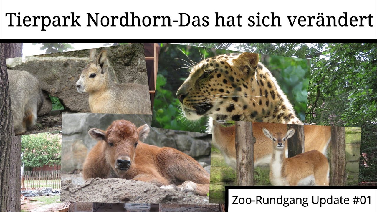 Tierpark Nordhorn 2022: Das hat sich verändert | Zoo-Rundgang Update #01