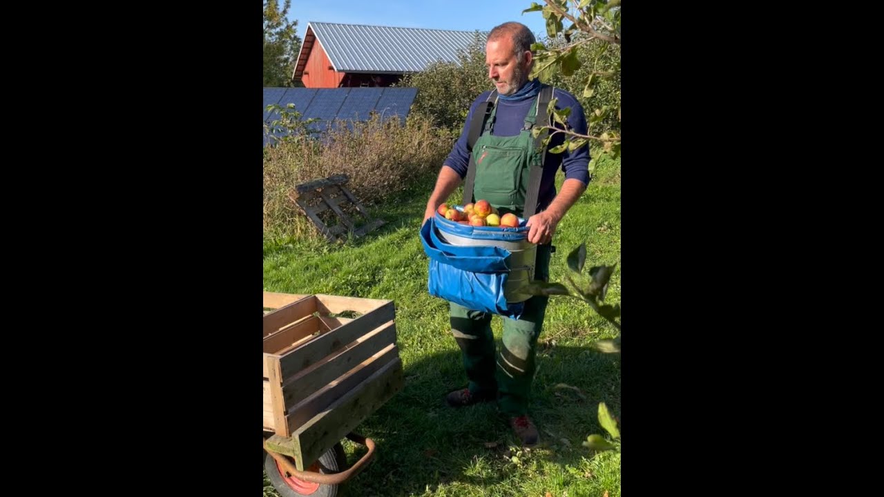 Produktion af &aelig;blemost 2025