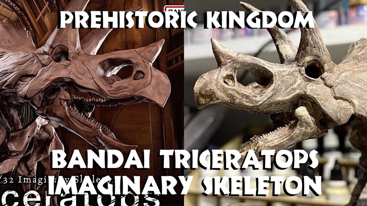 Bandai Triceratops Imaginary Skeleton