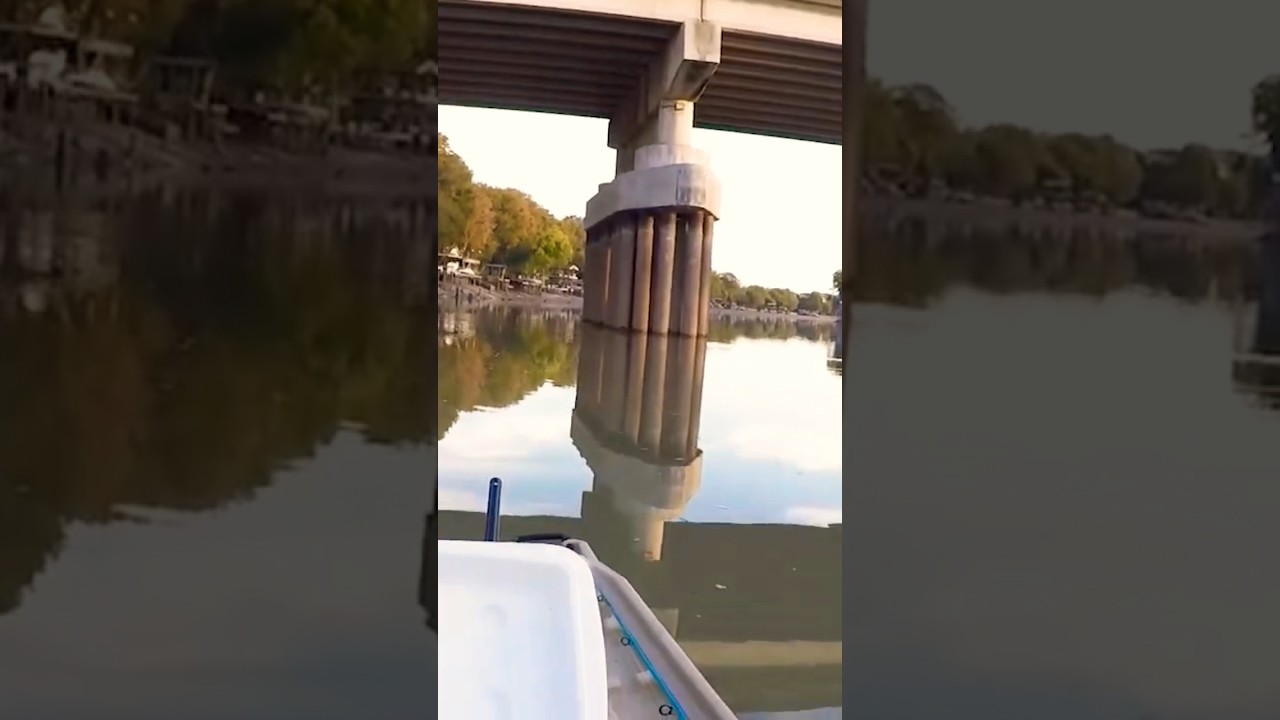 😳 Впервые использую Sidescan на этом мосту! 😮