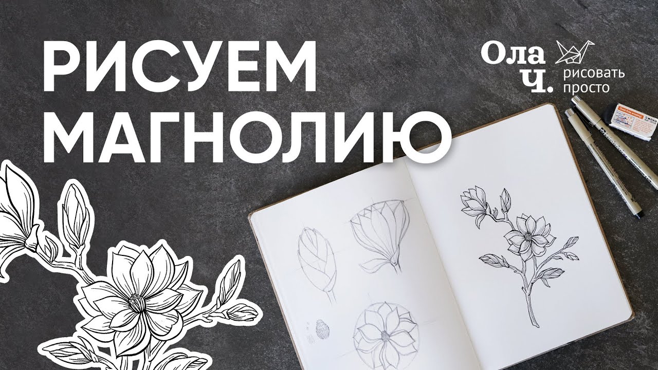 Как нарисовать цветок, магнолия - Уроки рисования для начинающих