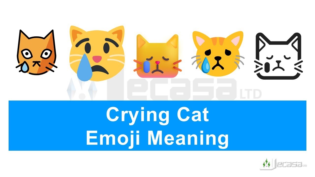 Crying Cat Emoji 😿 Meaning | Learning Emojis