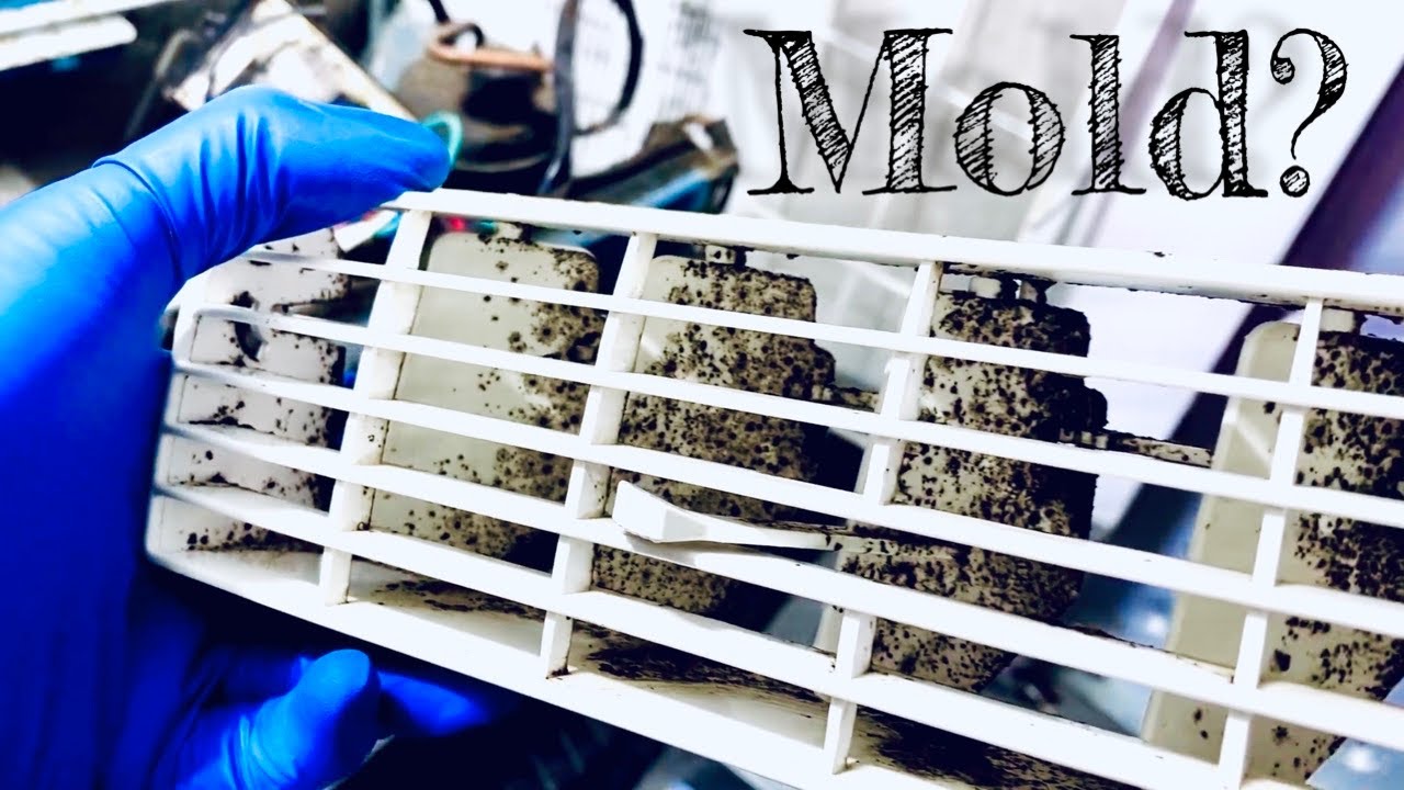 How to take apart a MOLDY Window Air Conditioner