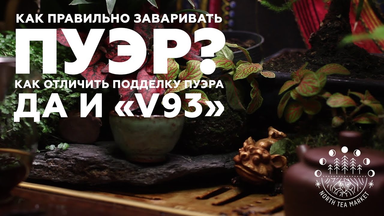 Как правильно заваривать китайский чай пуэр? Как отличить подделку Да И V93?