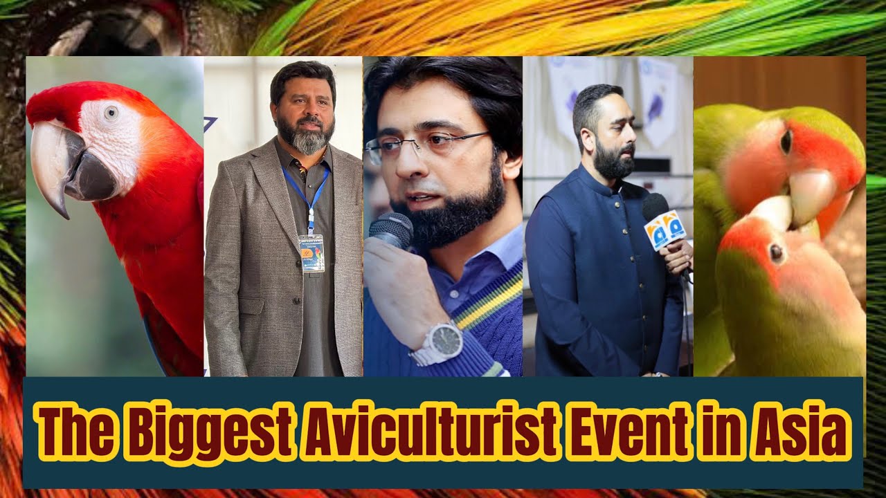 Joint adventure of Avian Laboratories & Rahim Ali Dillon | LoveBirds Farming | Macaw Breeding | Raw