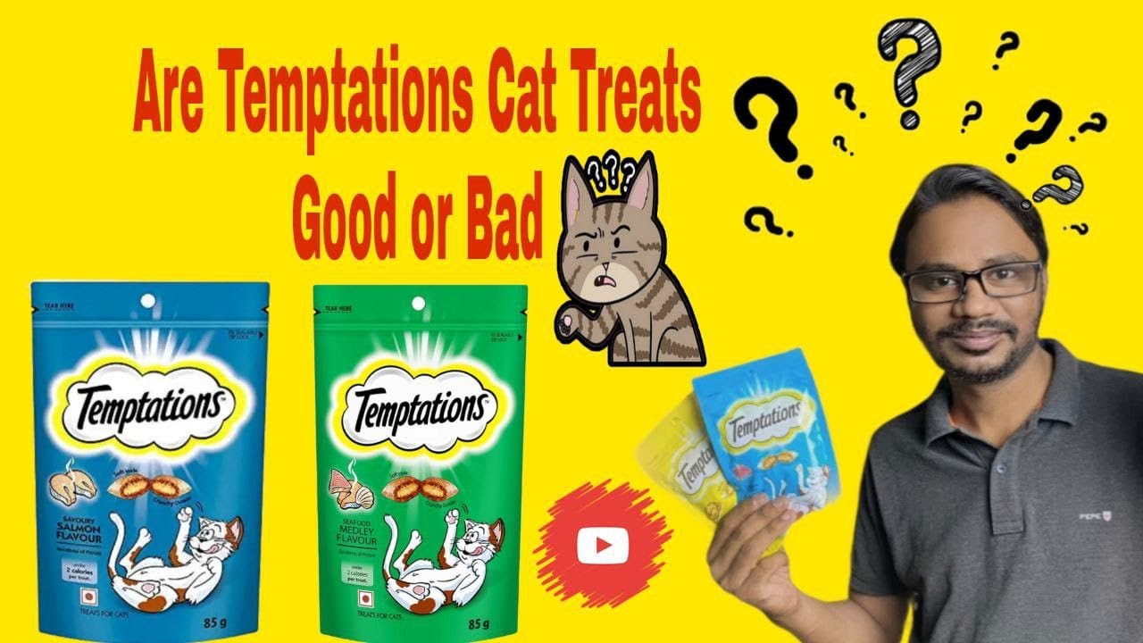 Are Temptations Cat Treats Good or Bad ? (Review in Hindi)