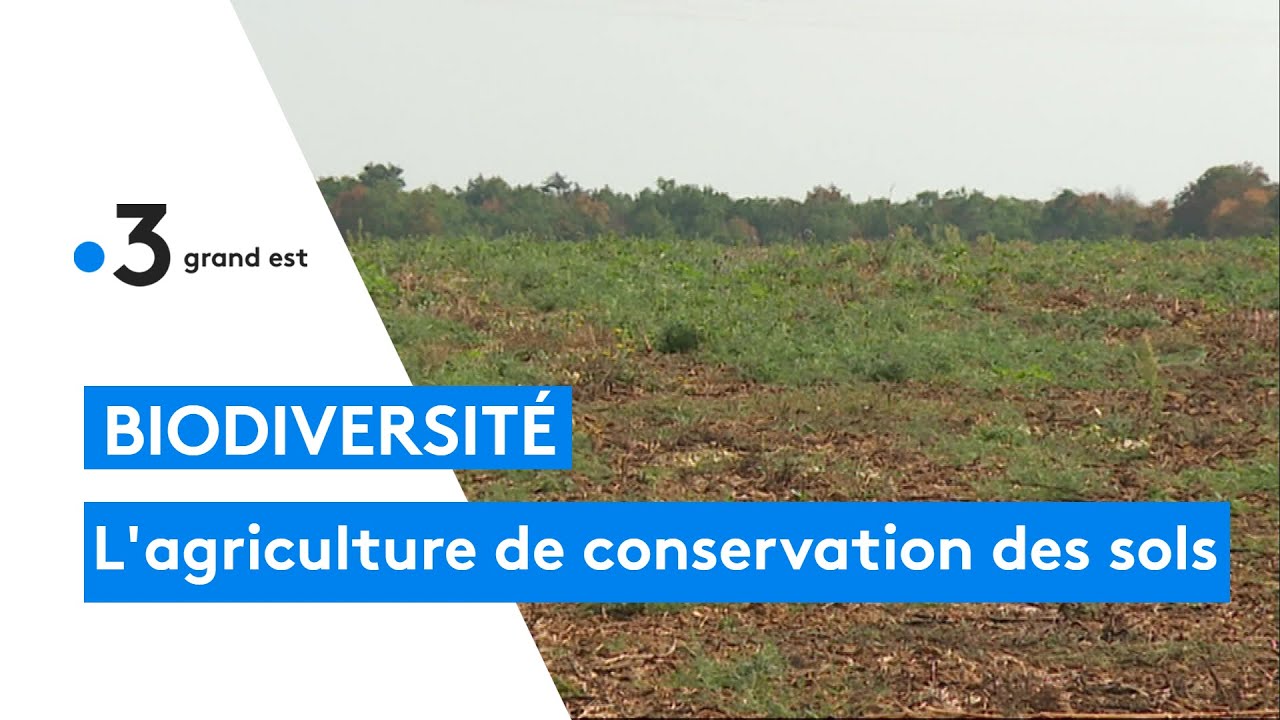 L'agriculture de conservation des sols