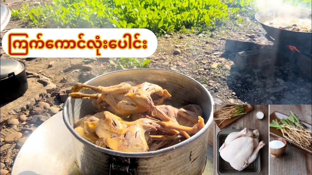 ကြက်ကောင်လုံးပေါင်း