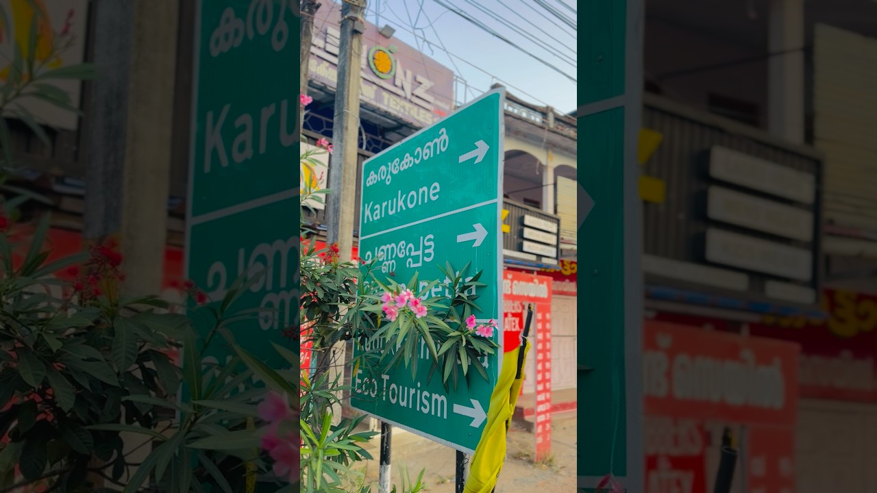 ഒന്ന് നാട്ടിൽ പോയാലോ ♥️ 