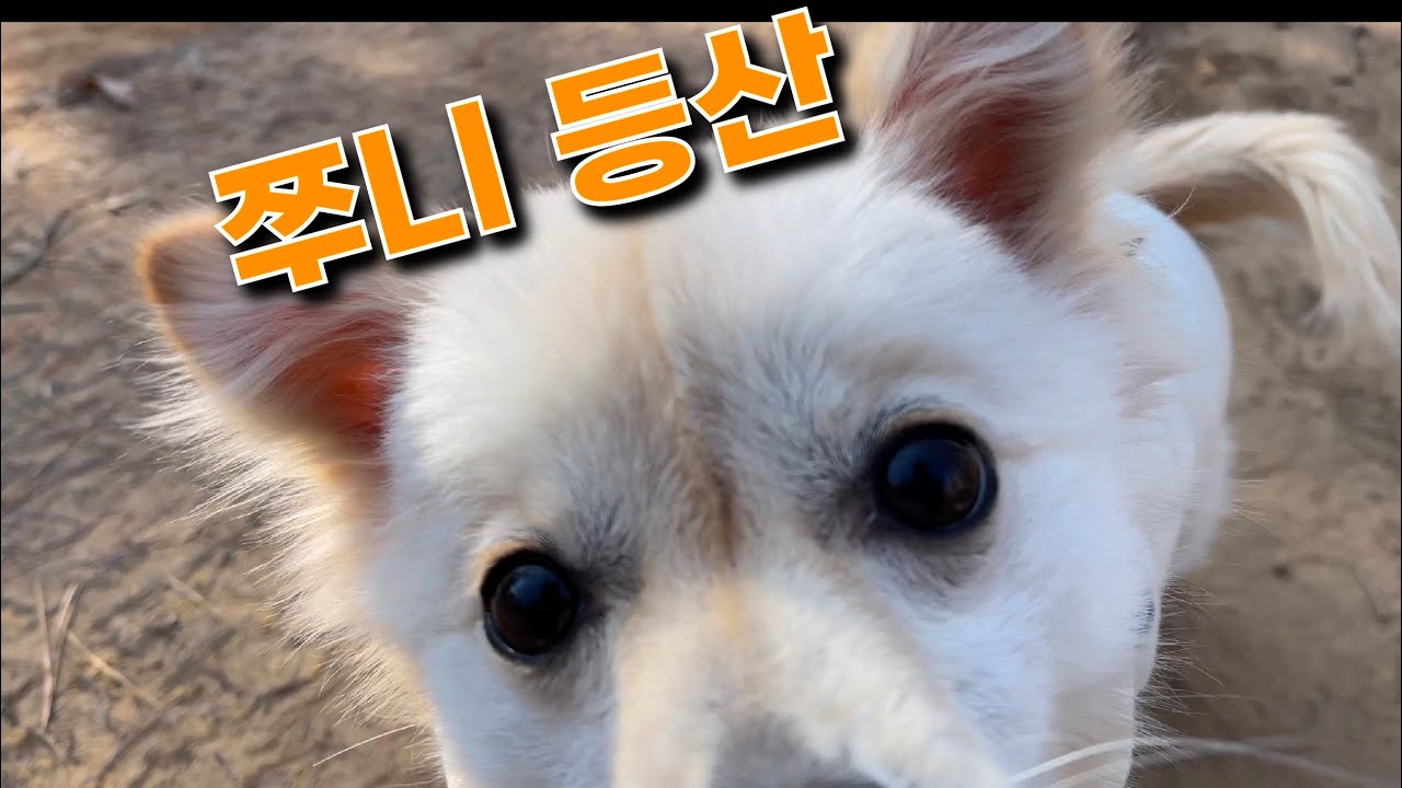 작은 뒷동산 산책하기