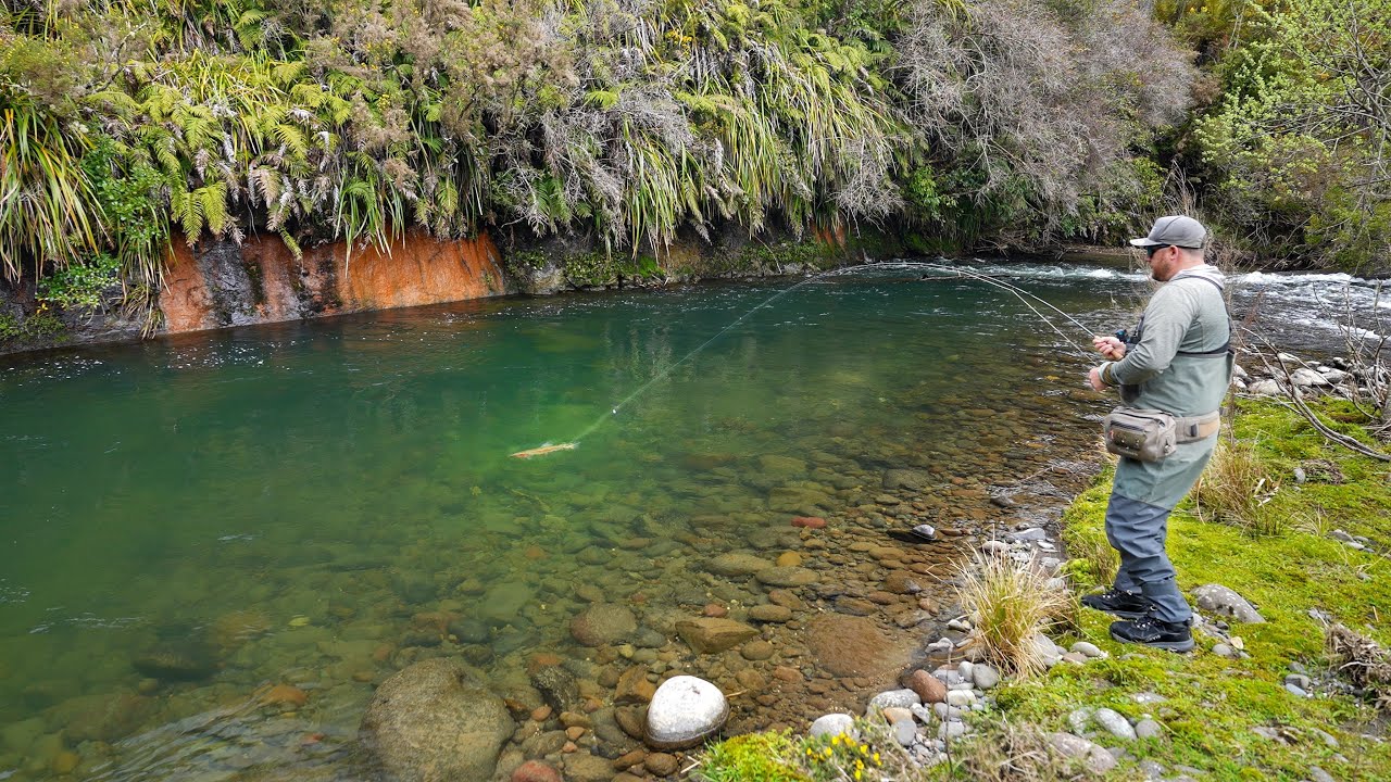 Fly Fishing The Best Trout Stream I’ve Ever seen.