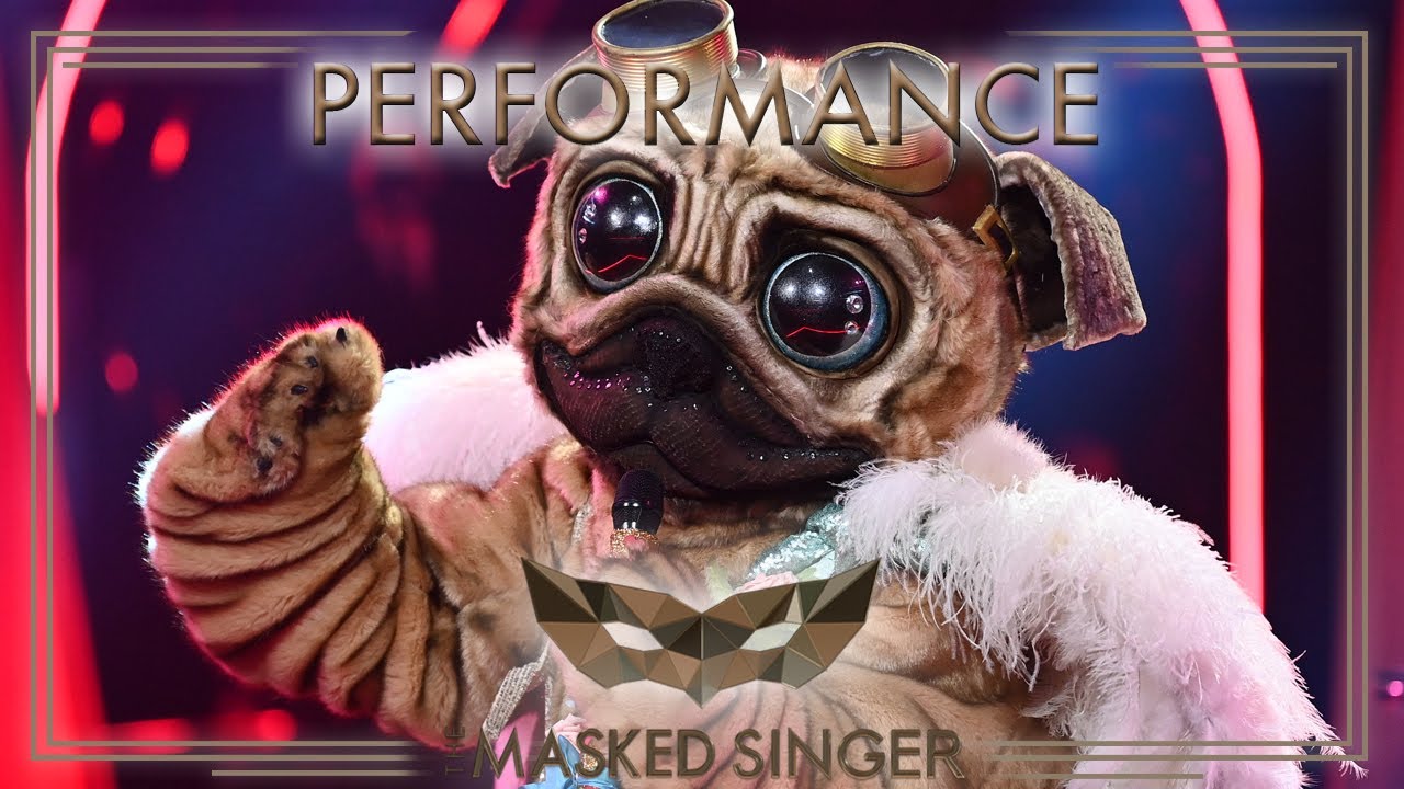 We Found Love – Der Mops | The Masked Singer | ProSieben