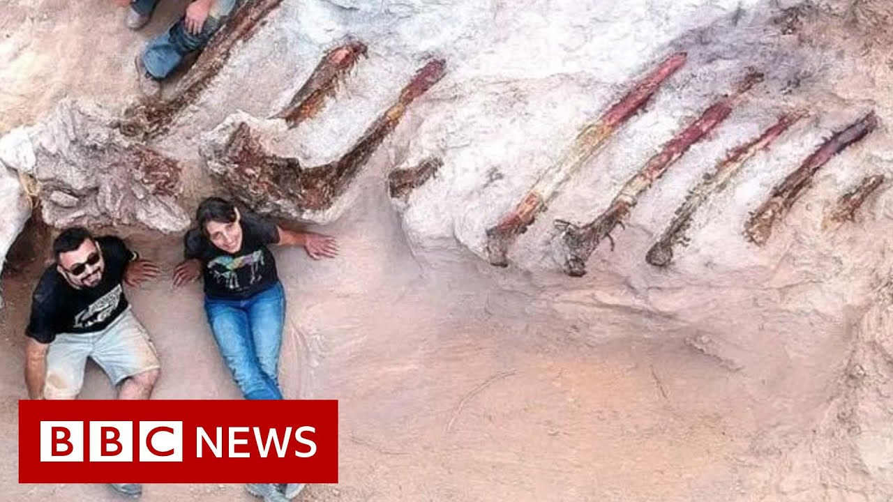 Huge dinosaur skeleton unearthed in Portuguese garden - BBC News