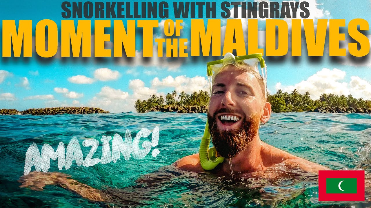 Budget Maldives Adventure: Sharks & Stingrays in THULUSDHOO! 🇲🇻