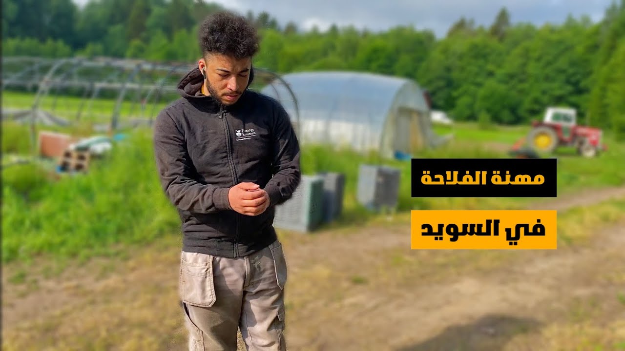 روتيني اليومي مع العمل في السويد || Farming in Sweden 🇸🇪