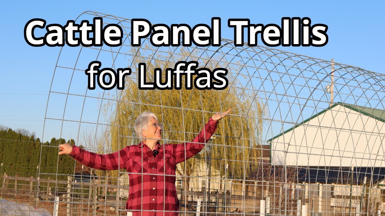 Trellis Time! Building a Luffa Trellis & Other Homestead Must-Dos