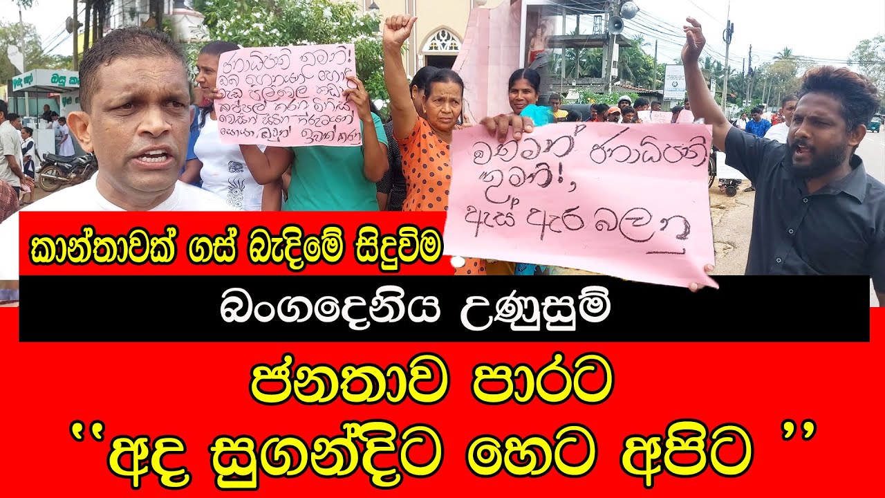 බංගදෙනිය උණුසුම් , ජනතාව පාරට #mojonewslk #trending