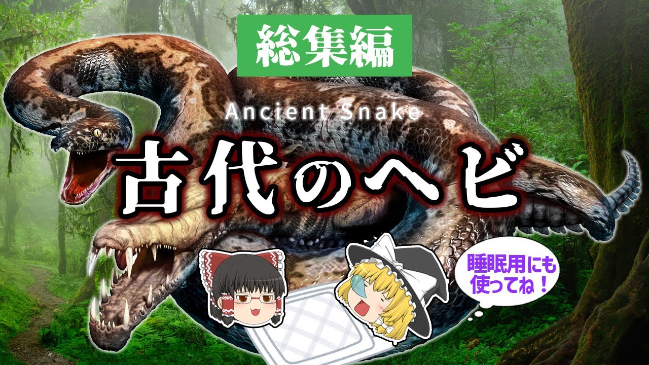 【睡眠用・ゆっくり解説】古代のヘビ　ティタノボア/カガナイアス/など【広告最初のみ　途中広告なし】