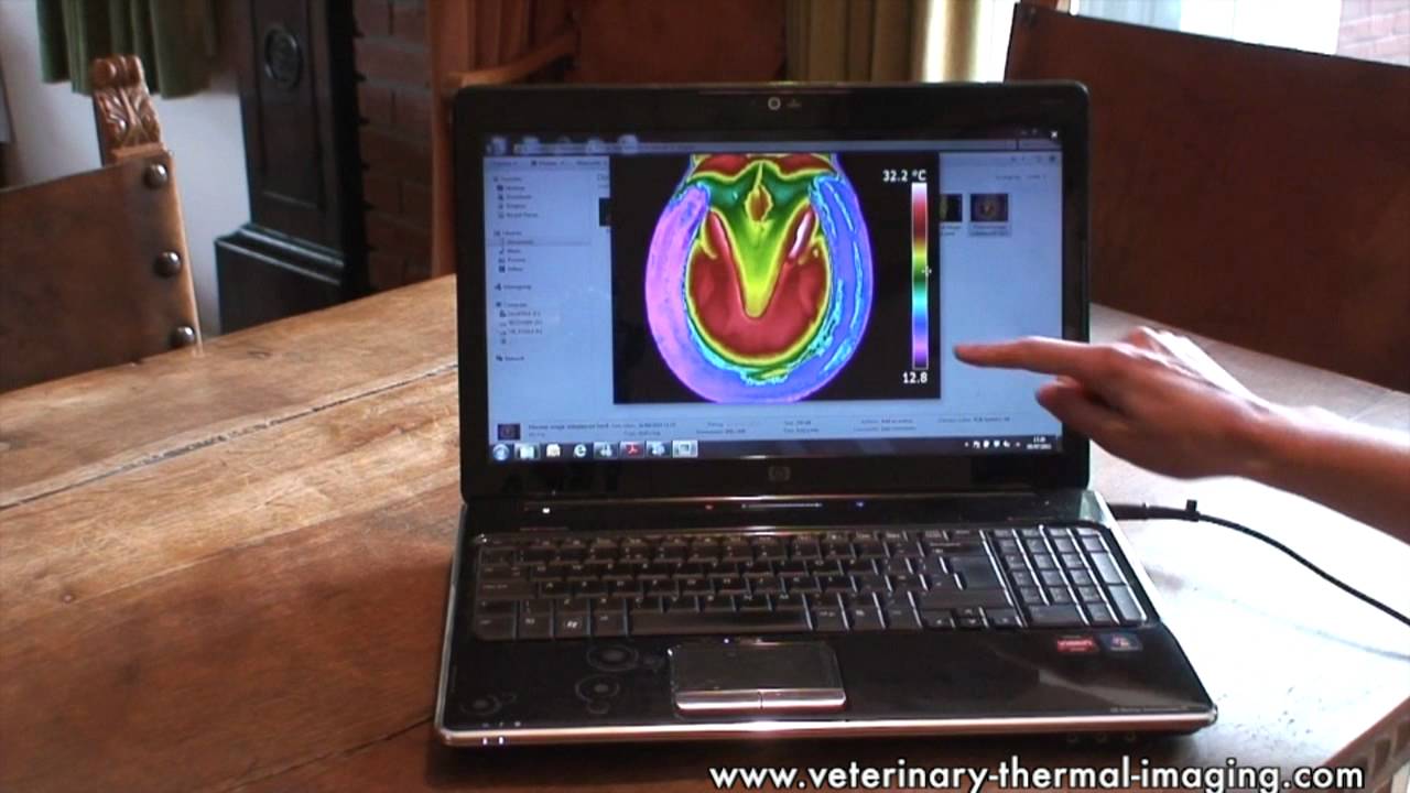 Monitoring the Health of a Horse's Hoof using Equine Thermography